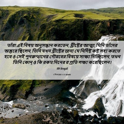 Picture 06 - 1 পিতরের 1:11 BENIRV - তাঁরা এই বিষয় - Bible Verse Picture