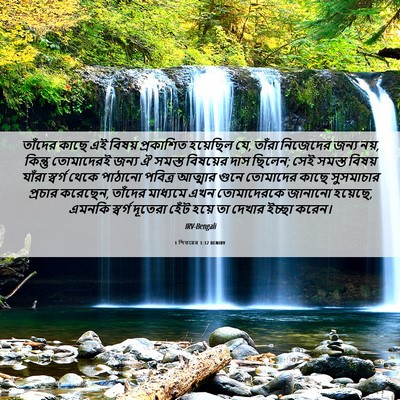 Picture 06 - 1 পিতরের 1:12 BENIRV - তাঁদের কাছে এই - Bible Verse Picture