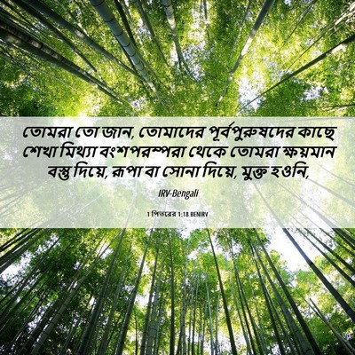 Picture 06 - 1 পিতরের 1:18 BENIRV - তোমরা তো জান, - Bible Verse Picture