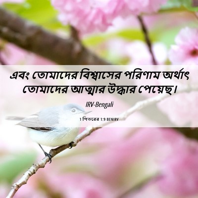 Picture 06 - 1 পিতরের 1:9 BENIRV - এবং তোমাদের - Bible Verse Picture