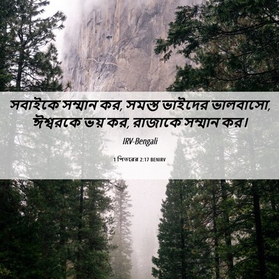 Picture 06 - 1 পিতরের 2:17 BENIRV - সবাইকে সম্মান কর, - Bible Verse Picture