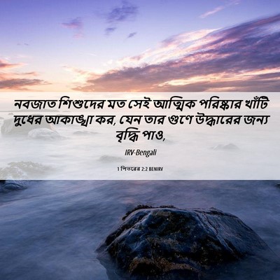 Picture 06 - 1 পিতরের 2:2 BENIRV - নবজাত শিশুদের মত - Bible Verse Picture