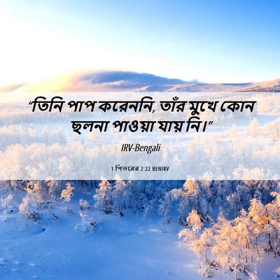 Picture 06 - 1 পিতরের 2:22 BENIRV - “তিনি পাপ করেননি, - Bible Verse Picture