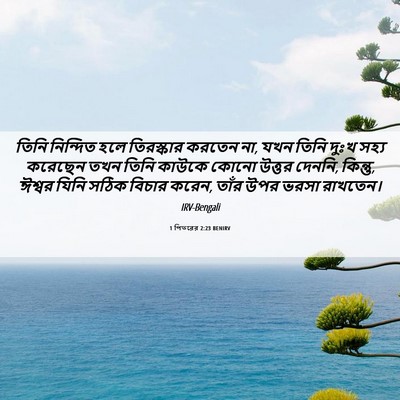 Picture 06 - 1 পিতরের 2:23 BENIRV - তিনি নিন্দিত হলে - Bible Verse Picture