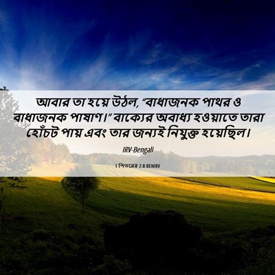 Picture 06 - 1 পিতরের 2:8 BENIRV - আবার তা হয়ে উঠল, - Bible Verse Picture
