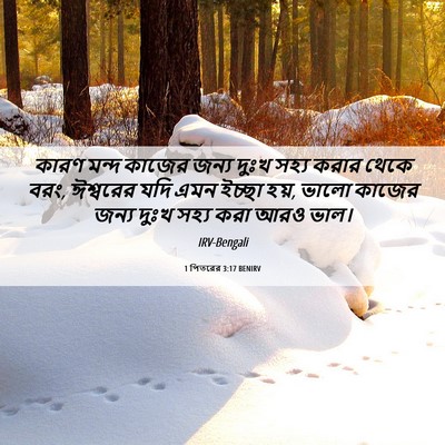 Picture 06 - 1 পিতরের 3:17 BENIRV - কারণ মন্দ কাজের - Bible Verse Picture
