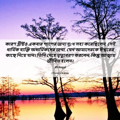 Picture 06 - 1 পিতরের 3:18 BENIRV - কারণ খ্রীষ্টও - Bible Verse Picture