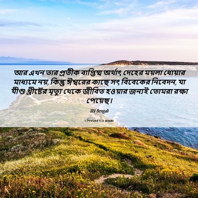 Picture 06 - 1 পিতরের 3:21 BENIRV - আর এখন তার প্রতীক - Bible Verse Picture