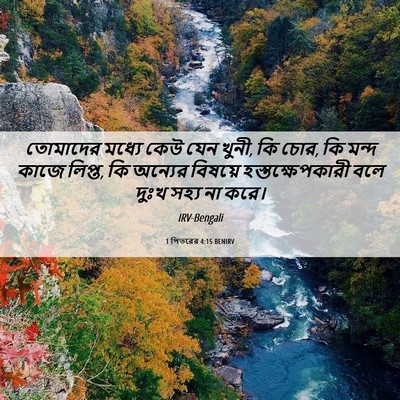Picture 06 - 1 পিতরের 4:15 BENIRV - তোমাদের মধ্যে কেউ - Bible Verse Picture