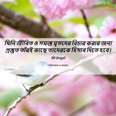 Picture 06 - 1 পিতরের 4:5 BENIRV - যিনি জীবিত ও সমস্ত - Bible Verse Picture