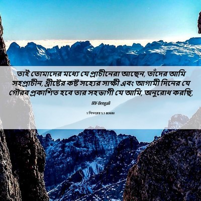 Picture 06 - 1 পিতরের 5:1 BENIRV - তাই তোমাদের মধ্যে - Bible Verse Picture