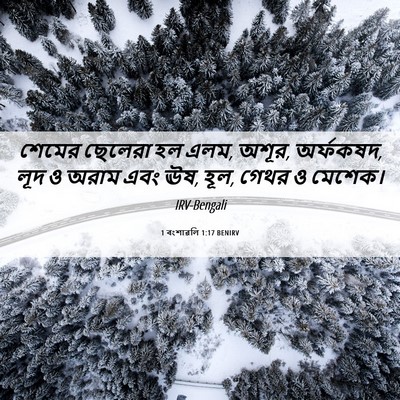 Picture 06 - 1 বংশাৱলি 1:17 BENIRV - শেমের ছেলেরা হল - Bible Verse Picture