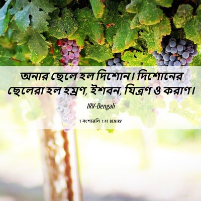 Picture 06 - 1 বংশাৱলি 1:41 BENIRV - অনার ছেলে হল - Bible Verse Picture