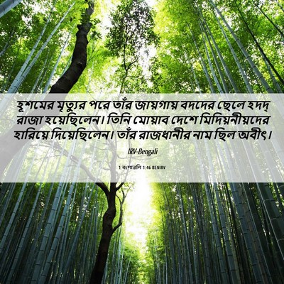 Picture 06 - 1 বংশাৱলি 1:46 BENIRV - হূশমের মৃত্যুর - Bible Verse Picture