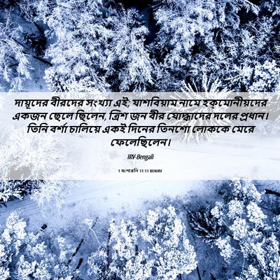 Picture 06 - 1 বংশাৱলি 11:11 BENIRV - দায়ূদের বীরদের - Bible Verse Picture