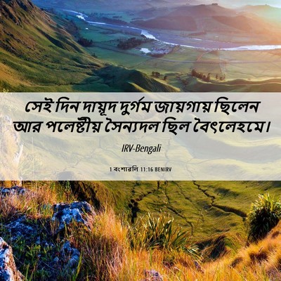 Picture 06 - 1 বংশাৱলি 11:16 BENIRV - সেই দিন দায়ূদ - Bible Verse Picture