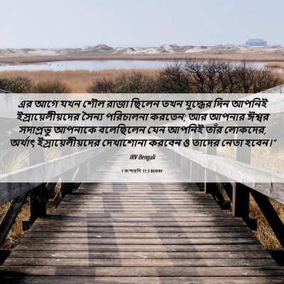 Picture 06 - 1 বংশাৱলি 11:2 BENIRV - এর আগে যখন শৌল রাজা - Bible Verse Picture