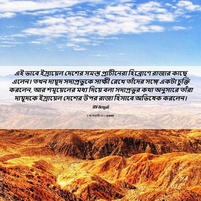 Picture 06 - 1 বংশাৱলি 11:3 BENIRV - এই ভাবে ইস্রায়েল - Bible Verse Picture