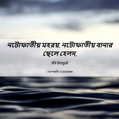 Picture 06 - 1 বংশাৱলি 11:30 BENIRV - নটোফাতীয় মহরয়, - Bible Verse Picture