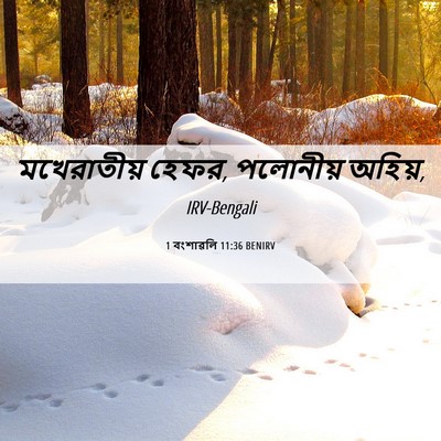 Picture 06 - 1 বংশাৱলি 11:36 BENIRV - মখেরাতীয় হেফর, - Bible Verse Picture