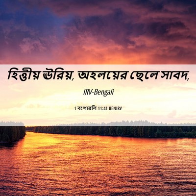 Picture 06 - 1 বংশাৱলি 11:41 BENIRV - হিত্তীয় ঊরিয়, - Bible Verse Picture