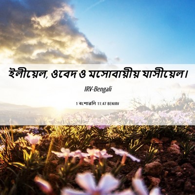 Picture 06 - 1 বংশাৱলি 11:47 BENIRV - ইলীয়েল, ওবেদ ও - Bible Verse Picture