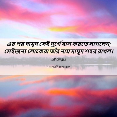 Picture 06 - 1 বংশাৱলি 11:7 BENIRV - এর পর দায়ূদ সেই - Bible Verse Picture
