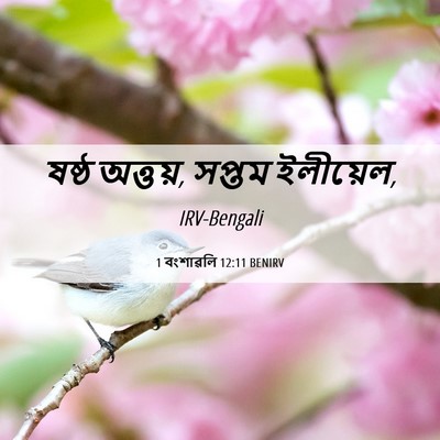 Picture 06 - 1 বংশাৱলি 12:11 BENIRV - ষষ্ঠ অত্তয়, সপ্তম - Bible Verse Picture