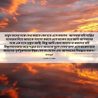 Picture 06 - 1 বংশাৱলি 12:17 BENIRV - দায়ূদ তাদের - Bible Verse Picture