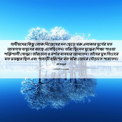 Picture 06 - 1 বংশাৱলি 12:8 BENIRV - গাদীয়দের কিছু - Bible Verse Picture