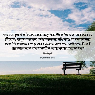 Picture 06 - 1 বংশাৱলি 14:11 BENIRV - তখন দায়ূদ ও তাঁর - Bible Verse Picture