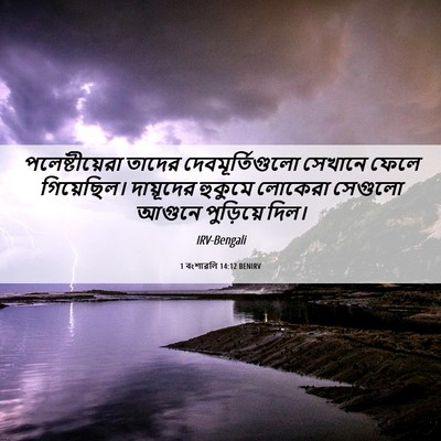 Picture 06 - 1 বংশাৱলি 14:12 BENIRV - পলেষ্টীয়েরা - Bible Verse Picture