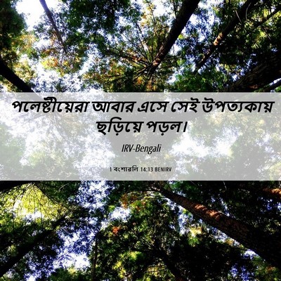 Picture 06 - 1 বংশাৱলি 14:13 BENIRV - পলেষ্টীয়েরা আবার - Bible Verse Picture