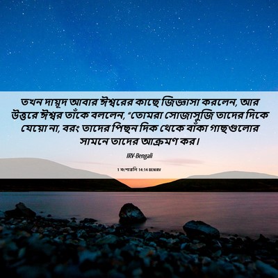 Picture 06 - 1 বংশাৱলি 14:14 BENIRV - তখন দায়ূদ আবার - Bible Verse Picture