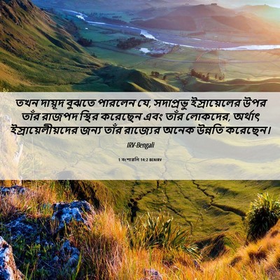 Picture 06 - 1 বংশাৱলি 14:2 BENIRV - তখন দায়ূদ বুঝতে - Bible Verse Picture
