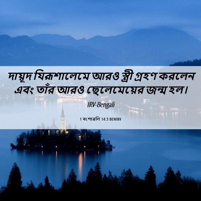 Picture 06 - 1 বংশাৱলি 14:3 BENIRV - দায়ূদ যিরূশালেমে - Bible Verse Picture