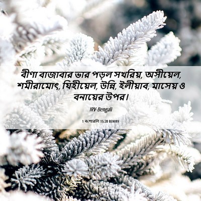 Picture 06 - 1 বংশাৱলি 15:20 BENIRV - বীণা বাজাবার ভার - Bible Verse Picture