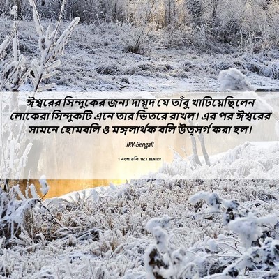 Picture 06 - 1 বংশাৱলি 16:1 BENIRV - ঈশ্বরের সিন্দুকের - Bible Verse Picture