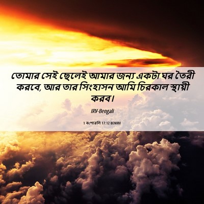 Picture 06 - 1 বংশাৱলি 17:12 BENIRV - তোমার সেই ছেলেই - Bible Verse Picture
