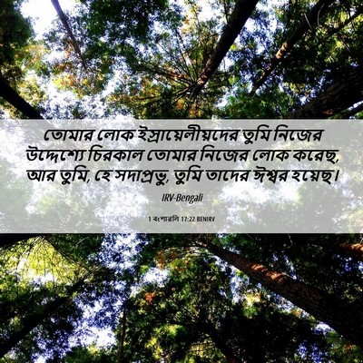 Picture 06 - 1 বংশাৱলি 17:22 BENIRV - তোমার লোক - Bible Verse Picture