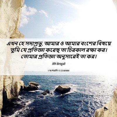 Picture 06 - 1 বংশাৱলি 17:23 BENIRV - এখন হে সদাপ্রভু, - Bible Verse Picture