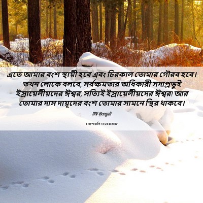 Picture 06 - 1 বংশাৱলি 17:24 BENIRV - এতে আমার বংশ - Bible Verse Picture