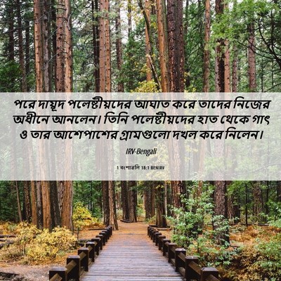 Picture 06 - 1 বংশাৱলি 18:1 BENIRV - পরে দায়ূদ - Bible Verse Picture
