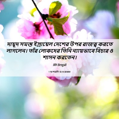 Picture 06 - 1 বংশাৱলি 18:14 BENIRV - দায়ূদ সমস্ত - Bible Verse Picture