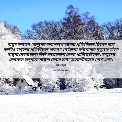 Picture 06 - 1 বংশাৱলি 19:2 BENIRV - দায়ূদ বললেন, - Bible Verse Picture