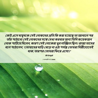 Picture 06 - 1 বংশাৱলি 19:5 BENIRV - কেউ এসে দায়ূদকে - Bible Verse Picture