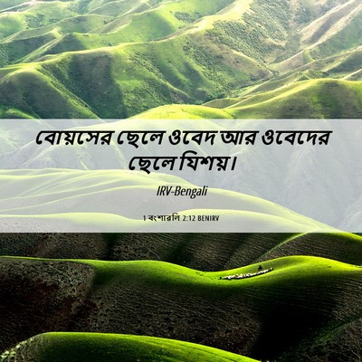 Picture 06 - 1 বংশাৱলি 2:12 BENIRV - বোয়সের ছেলে ওবেদ - Bible Verse Picture
