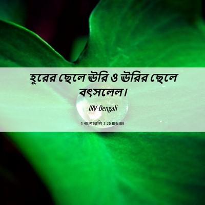 Picture 06 - 1 বংশাৱলি 2:20 BENIRV - হূরের ছেলে ঊরি ও - Bible Verse Picture