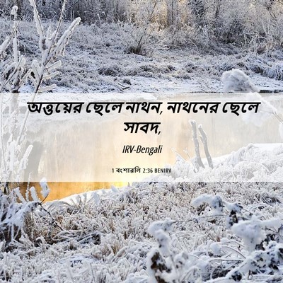 Picture 06 - 1 বংশাৱলি 2:36 BENIRV - অত্তয়ের ছেলে - Bible Verse Picture
