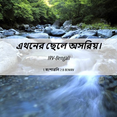 Picture 06 - 1 বংশাৱলি 2:8 BENIRV - এথনের ছেলে - Bible Verse Picture
